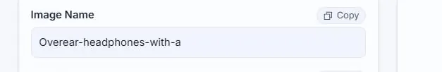 The Image Name field on an Alt Text Studio image detail page, with a Copy button beside it