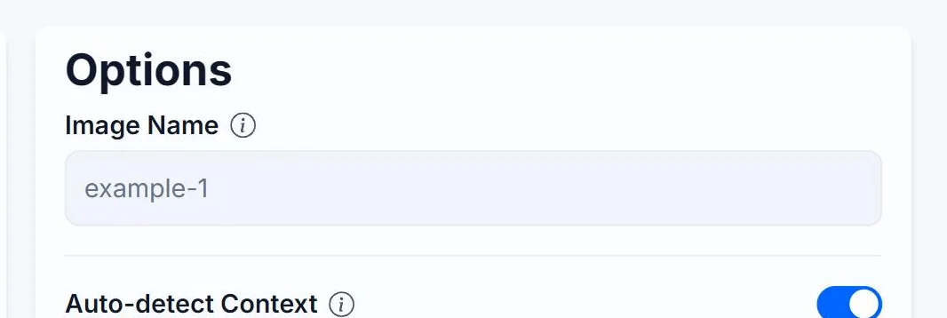 The Image Name field at the top of the Options panel on the Alt Text Studio Create page, left empty, showing its example-1 placeholder